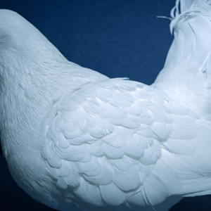 女生全裸不打码性交
